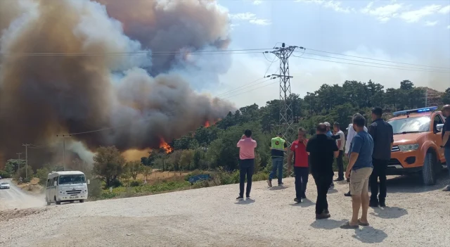 Mersin'in Silifke İlçesinde Orman Yangını Korkuttu