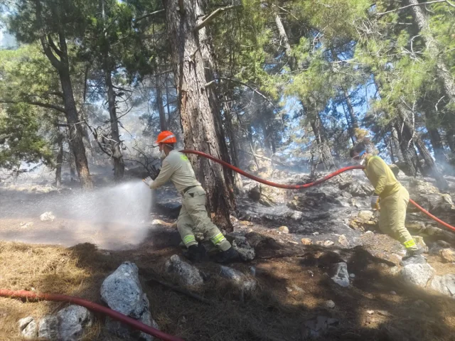 Adana Aladağ’da Orman Yangını Söndürüldü Ekipler Soğutma Çal...