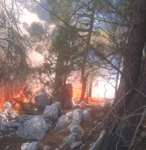Adana Aladağ’da Orman Yangını Söndürüldü Ekipler Soğutma Çalışmalarında