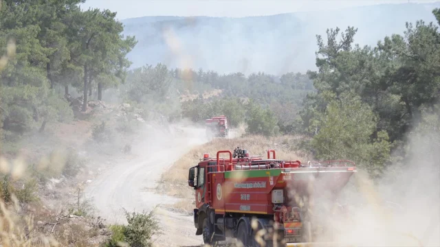 Çanakkale Orman Yangını Söndürülmeye Çalışılıyor