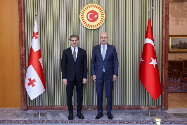 Numan Kurtulmuş Gürcistan Cumhurbaşkanı ile Görüştü: Kritik Mesajlar Verildi