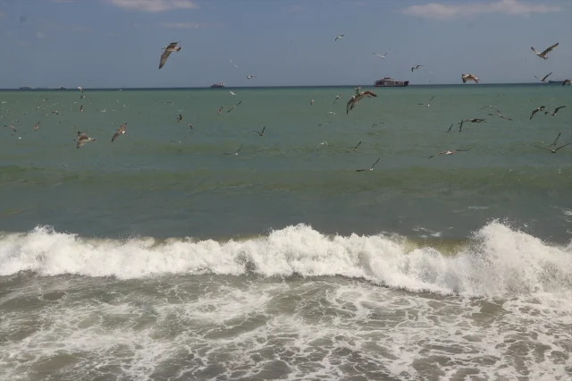Tekirdağ'da Kuvvetli Poyraz Deniz Ulaşımını Aksatıyor