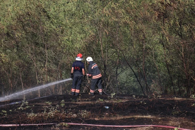 Trabzon'da Arazide Çıkan Yangın Kısa Sürede Söndürüldü