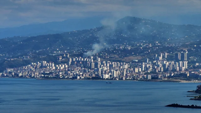 Trabzon'da Arazide Çıkan Yangın Kısa Sürede Söndürüldü