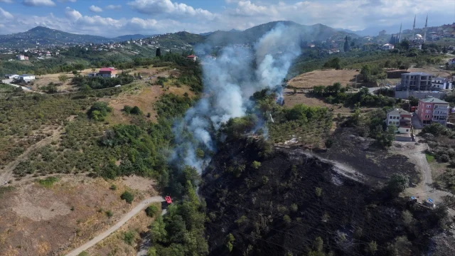 Trabzon'da Arazide Çıkan Yangın Kısa Sürede Söndürüldü