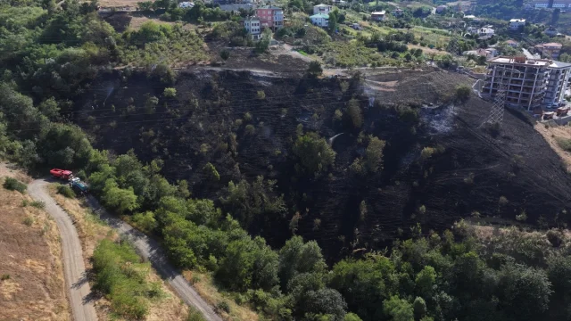 Trabzon'da Arazide Çıkan Yangın Kısa Sürede Söndürüldü