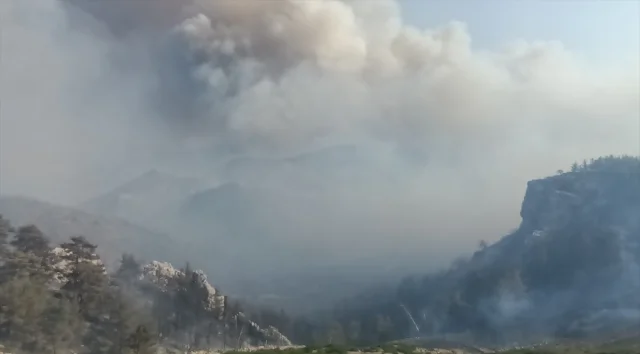 Mersin'in Silifke İlçesinde Orman Yangını Korkuttu