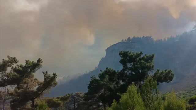 Mersin'in Silifke İlçesinde Orman Yangını Korkuttu