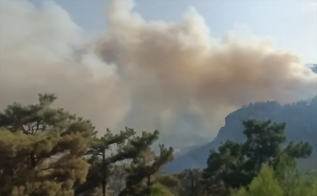 Mersin'in Silifke İlçesinde Orman Yangını Korkuttu