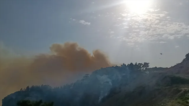 Mersin'in Silifke İlçesinde Orman Yangını Korkuttu