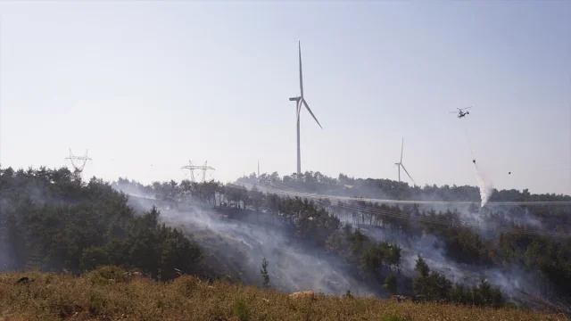 Çanakkale'de Orman Yangınına Yoğun Müdahale Sürüyor