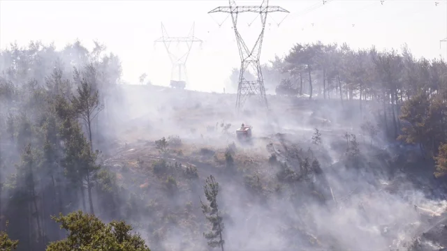Çanakkale'de Orman Yangınına Yoğun Müdahale Sürüyor