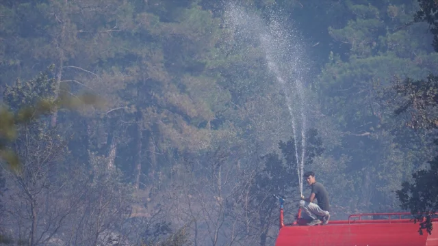 Çanakkale'de Orman Yangınına Yoğun Müdahale Sürüyor