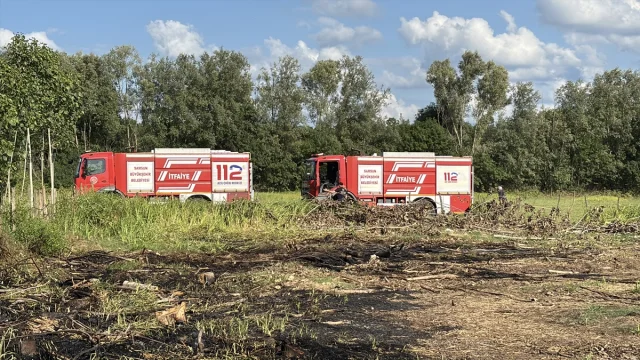 Samsun'da Timerle Mücadelede Örnek Başarı: Yangın Tehlikesi...