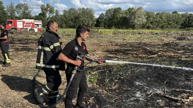 Samsun'da Timerle Mücadelede Örnek Başarı: Yangın Tehlikesi Önceden Önlendi