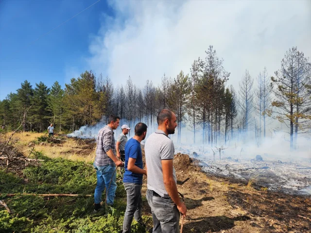 Çankırı'da Çıkan Orman Yangını Başarılı Çalışmalarla Söndürüldü
