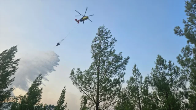 Denizli'nin Acıpayam İlçesindeki Orman Yangınına Müdahale De...