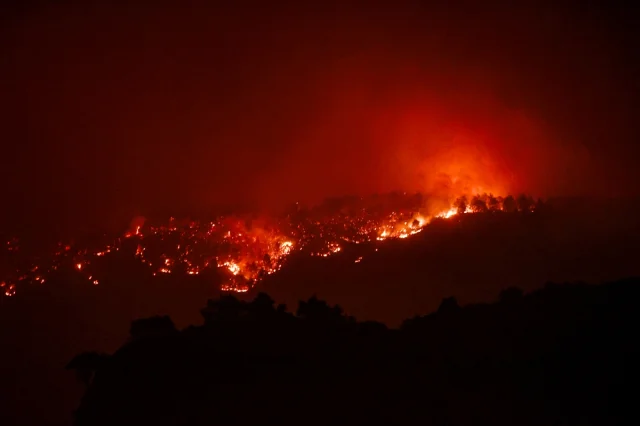 Mersin'de Orman Yangını Mücadelesi: Etkili Müdahale ve Tahli...