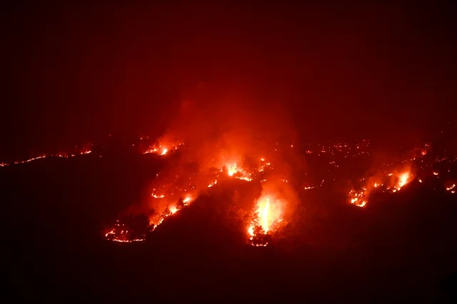 Mersin'de Orman Yangını Mücadelesi: Etkili Müdahale ve Tahliye Çalışmaları