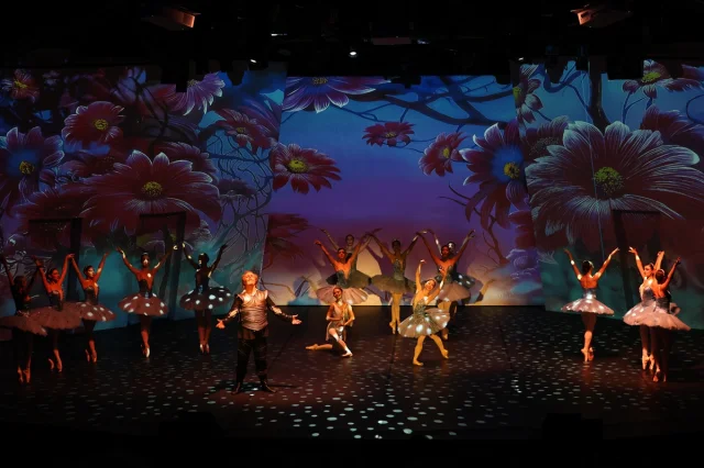 Bodrum Bale Festivali'nde "Don Kişot" Fırtınası