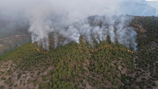 Hatay'ın Alevlerle İmtihanı: Orman Yangınına Yoğun Müdahale