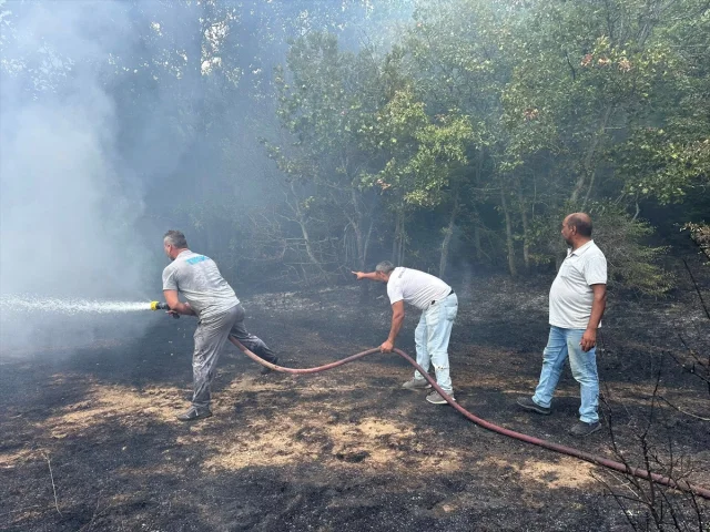 Kırklareli Orman Yangını Büyümeden Kontrol Altına Alındı