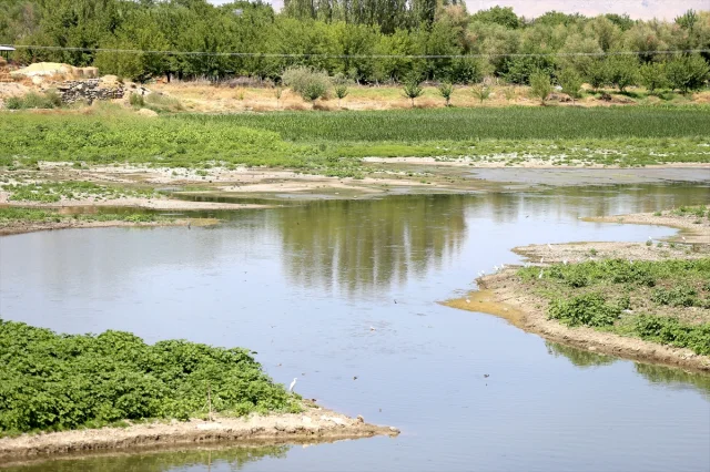Karakaya Barajı'nda Suyun Çekildiği Alanlardan Çiftçiler Faydalanıyor