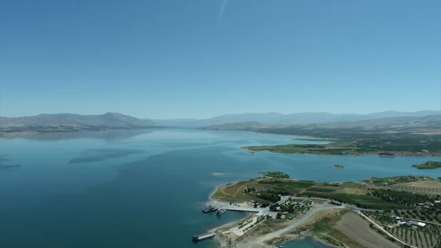 Karakaya Barajı'nda Suyun Çekildiği Alanlardan Çiftçiler Faydalanıyor