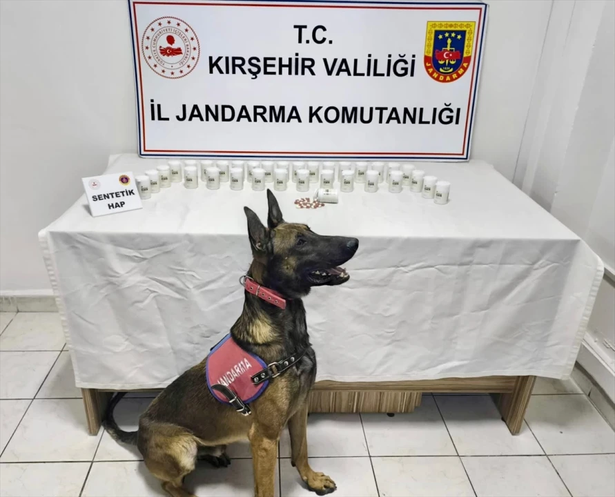 Kırşehir'de Geniş Çaplı Uyuşturucu Operasyonu: Şaşırtan Sayıda Hap Ele Geçirildi