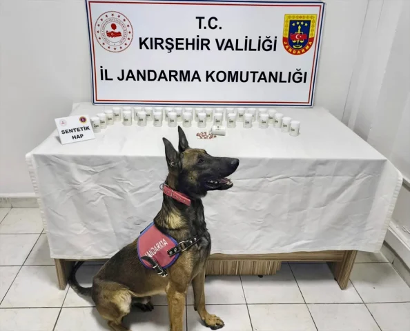 Kırşehir'de Geniş Çaplı Uyuşturucu Operasyonu: Şaşırtan Sayıda Hap Ele Geçirildi