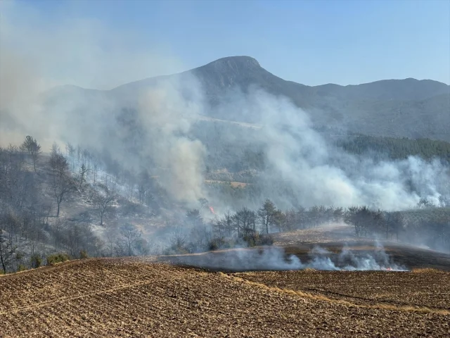 Osmaniye'de Korkutan Alevlerle Mücadele Sürüyor