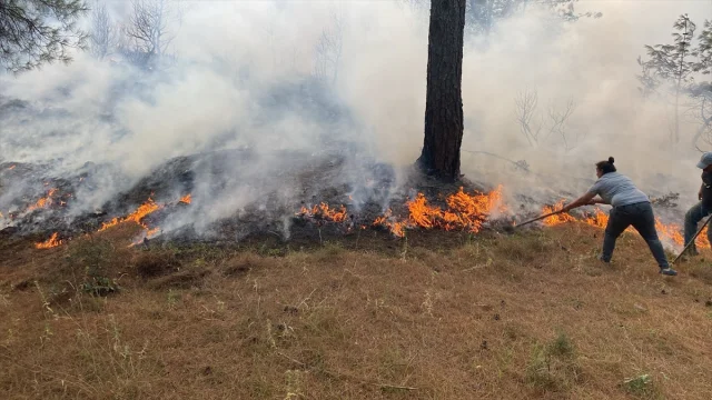 Çanakkale Orman Yangını Korkuttu