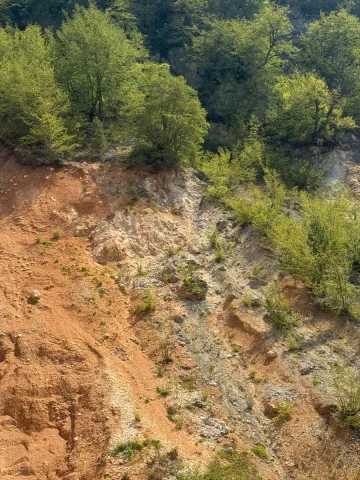 Düzce'de Cesur'un Hayrete Düşüren Kurtuluş Hikayesi