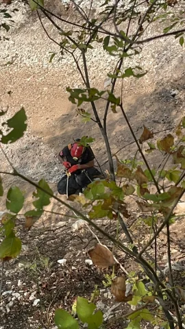 Düzce'de Cesur'un Hayrete Düşüren Kurtuluş Hikayesi