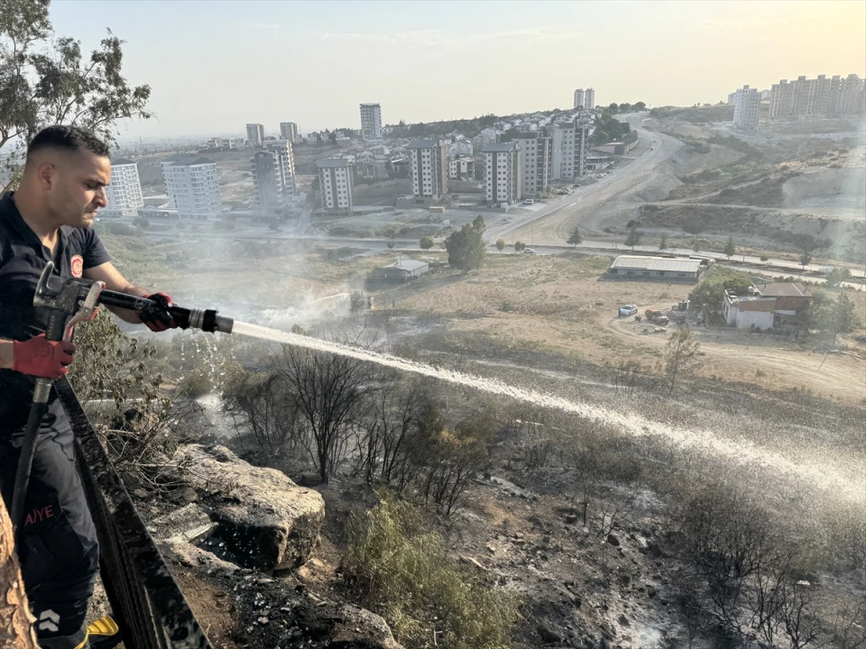 Adana'da Ağaçlık Alanda Çıkan Yangın Korkuttu
