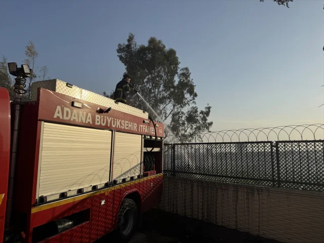 Adana'da Ağaçlık Alanda Çıkan Yangın Korkuttu