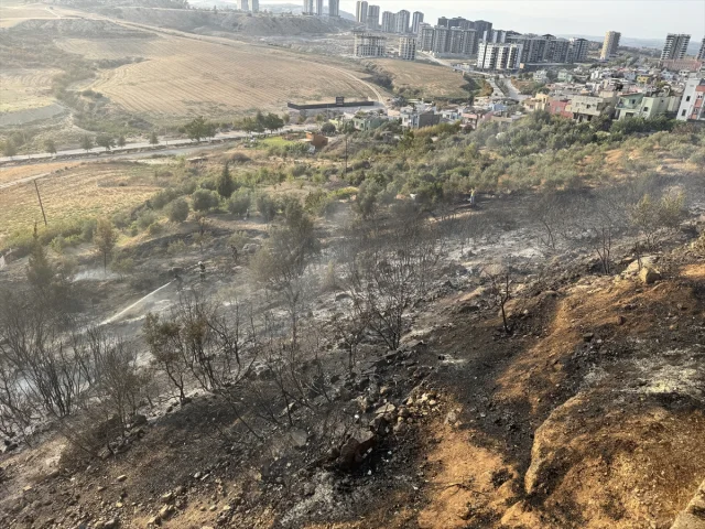 Adana'da Ağaçlık Alanda Çıkan Yangın Korkuttu
