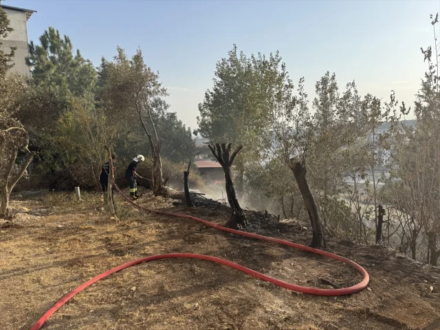 Adana'da Ağaçlık Alanda Çıkan Yangın Korkuttu