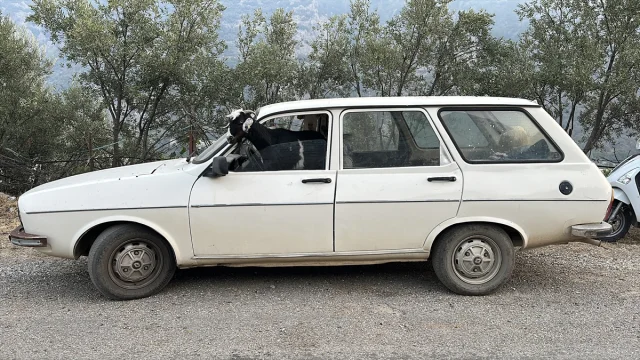 Mersin'deki Orman Yangınları Kontrol Altına Alınmaya Çalışılıyor