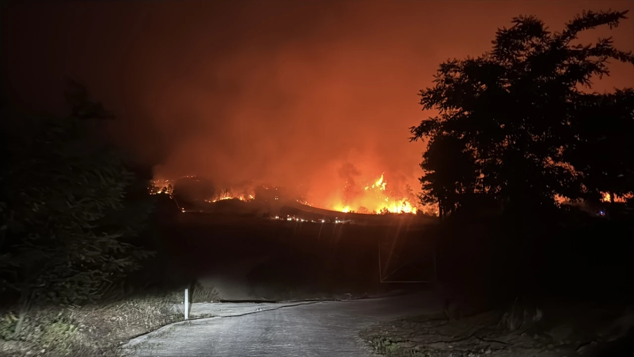 Suriye'deki Orman Yangınları Türkiye'yi Tehdit Ediyor: Gözler Hatay'a Çevrildi