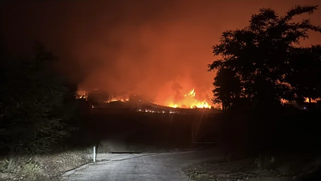 Suriye'deki Orman Yangınları Türkiye'yi Tehdit Ediyor: Gözler Hatay'a Çevrildi