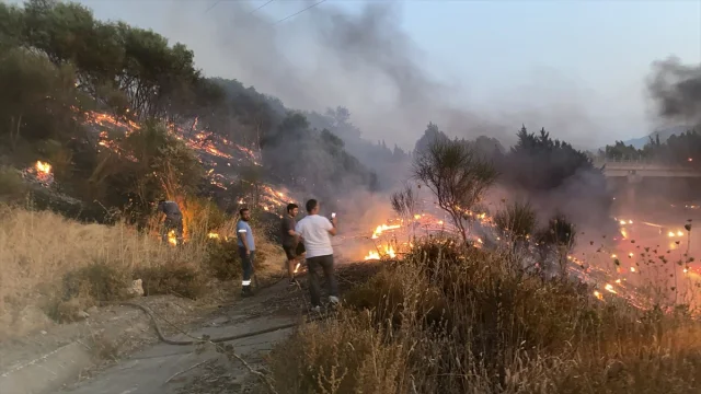 Aydın'da Yanan Kamyon Otoyoldaki Yangına Yol Açtı