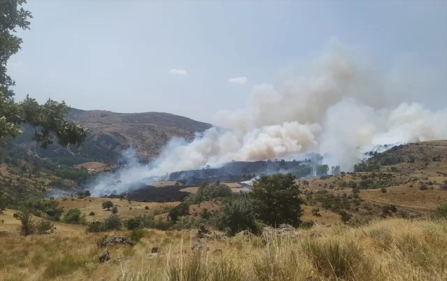Afyonkarahisar'da Alevler Araziyi Sarınca Ne Yapıldı?