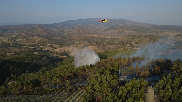 Manisa'daki Orman Yangınında Mücadelenin Perde Arkası