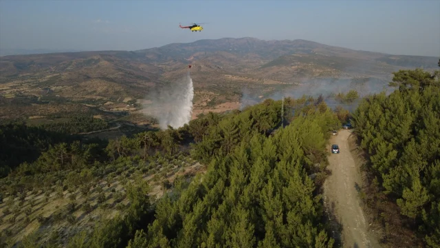 Manisa'daki Orman Yangınında Mücadelenin Perde Arkası