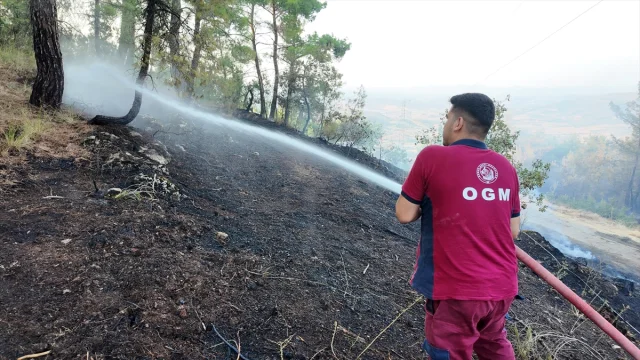 Manisa'daki Orman Yangınında Mücadelenin Perde Arkası