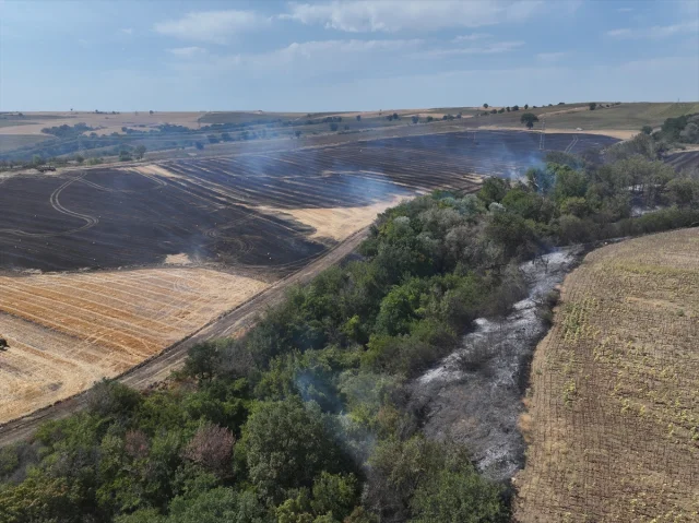 Edirne'nin Tarım Alanlarını Tehdit Eden Yangın Kontrol Altına Alındı