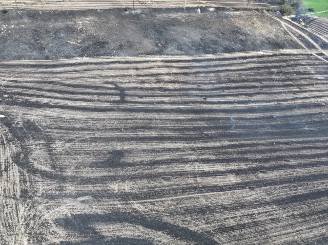 Edirne'nin Tarım Alanlarını Tehdit Eden Yangın Kontrol Altına Alındı