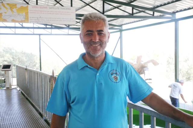 İztuzu Sahili'ndeki Caretta Caretta Yuvaları Rekor Kırdı