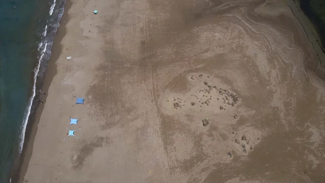 İztuzu Sahili'ndeki Caretta Caretta Yuvaları Rekor Kırdı